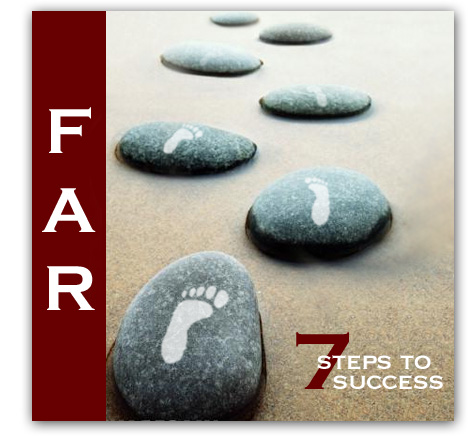 FAR 7 Steps to success